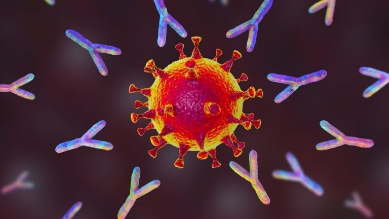 How long could COVID-19 vaccine immunity last?