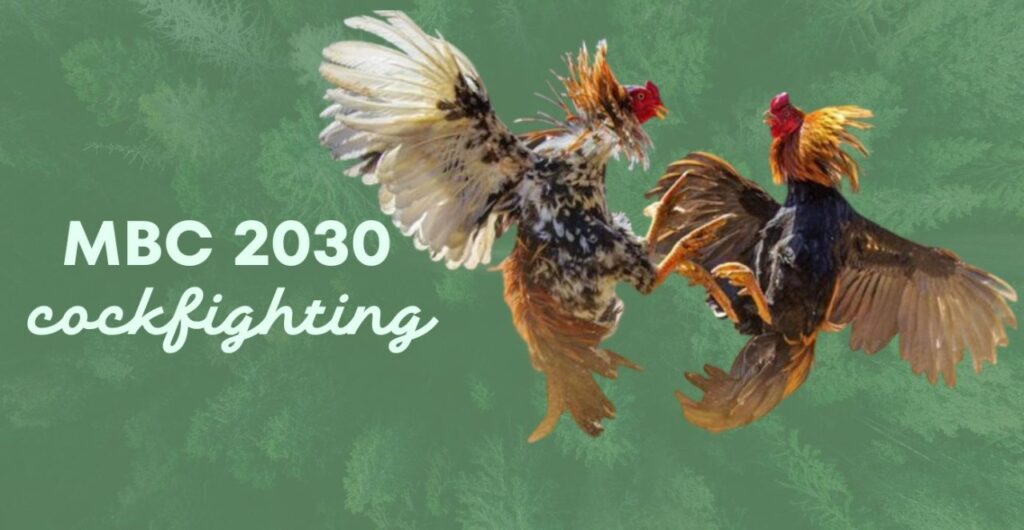mbc2030 live register