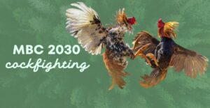 mbc2030 live register