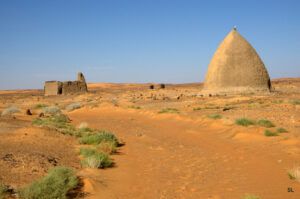 topix dongola il