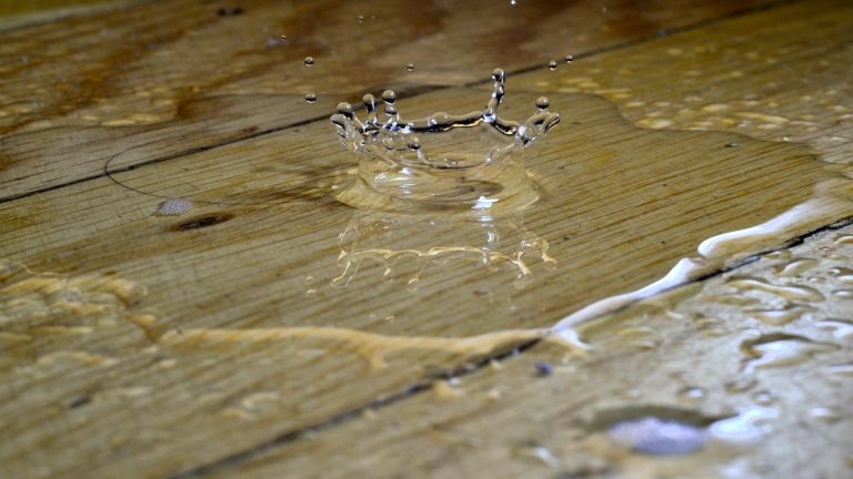 Recent Water Damage & Mold Growth: Why Your Home Needs Professional Remediation Fast